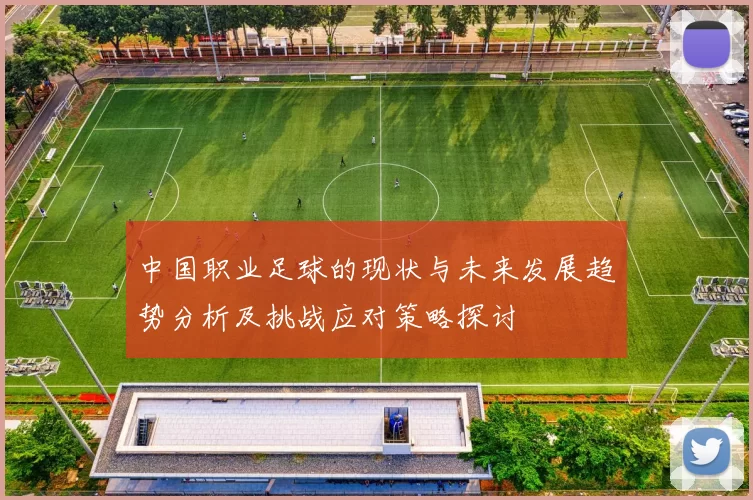 中国职业足球的现状与未来发展趋势分析及挑战应对策略探讨